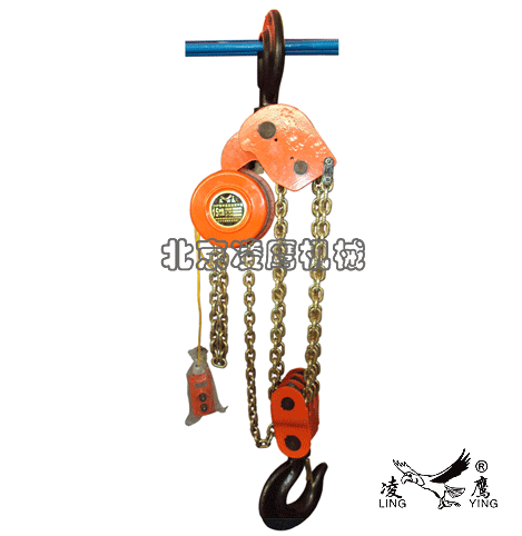 環(huán)鏈群吊電動(dòng)葫蘆