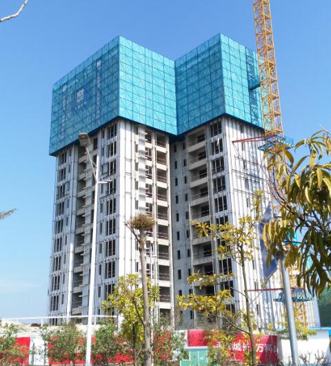 萬科云城項目爬架葫蘆案例